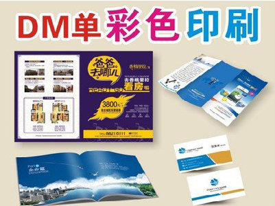 邵原单页印刷，色彩搭配简单。